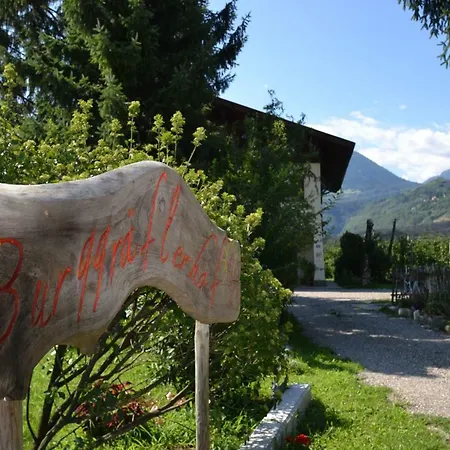 Burggräflerhof-2